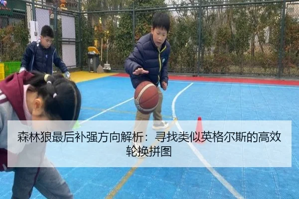 森林狼最后补强方向解析：寻找类似英格尔斯的高效轮换拼图